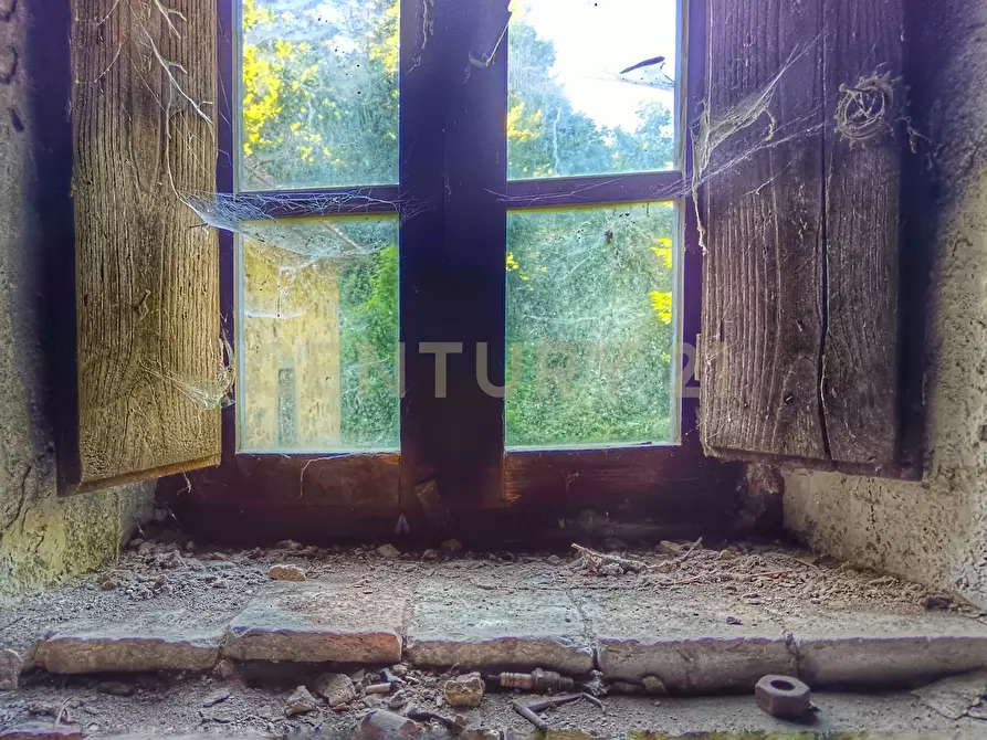 Immagine 34 di Rustico / casale in vendita  in Via dell'Eremo 1 a Castiglione D'orcia