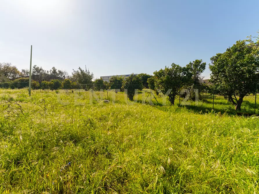 Immagine 14 di Terreno industriale in vendita  in Viale Andrea Doria 2 a San Giovanni La Punta