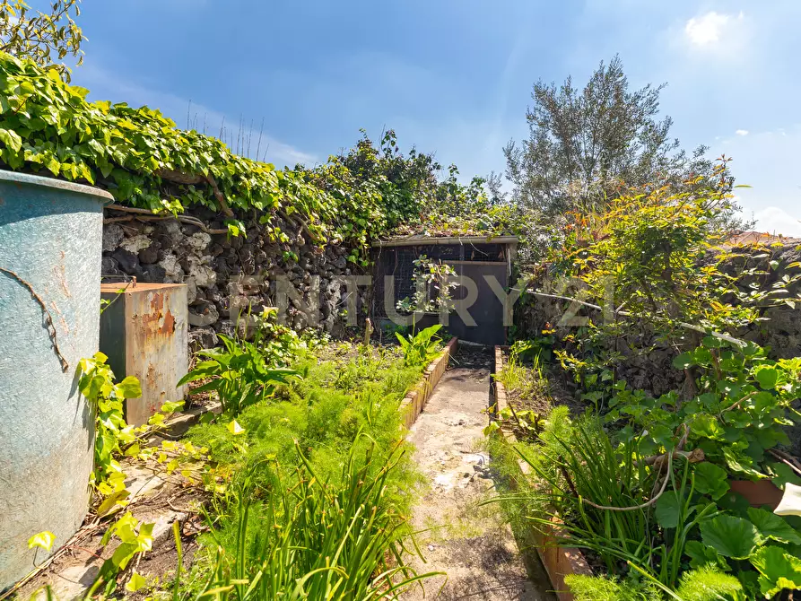 Immagine 37 di Casa indipendente in vendita  in Via Roma 119 a Mascalucia