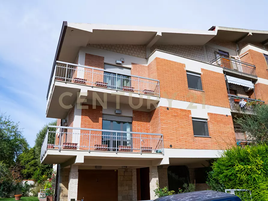 Immagine 3 di Villetta a schiera in vendita  in VIA MASSACCIO a Grosseto