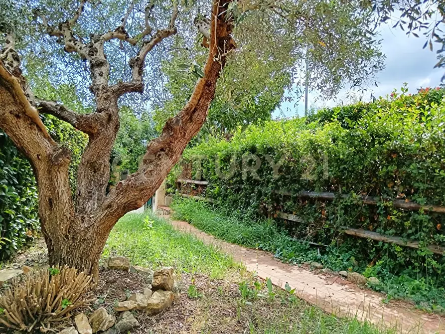 Immagine 13 di Villetta a schiera in vendita  in strada comunale della marsiliana 7 a Magliano In Toscana