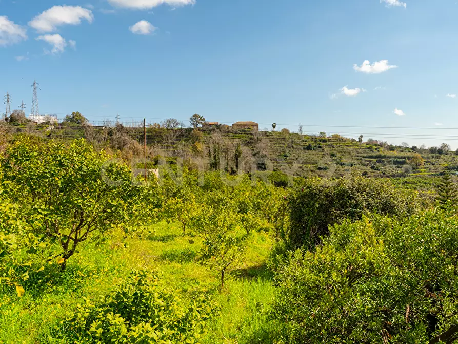 Immagine 14 di Terreno agricolo in vendita  in via giuseppe zinghirino 1 a Giarre