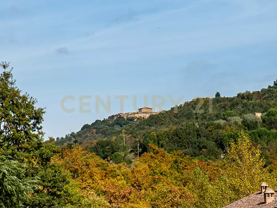 Immagine 66 di Trilocale in vendita  in Via delle Fornaci a Murlo