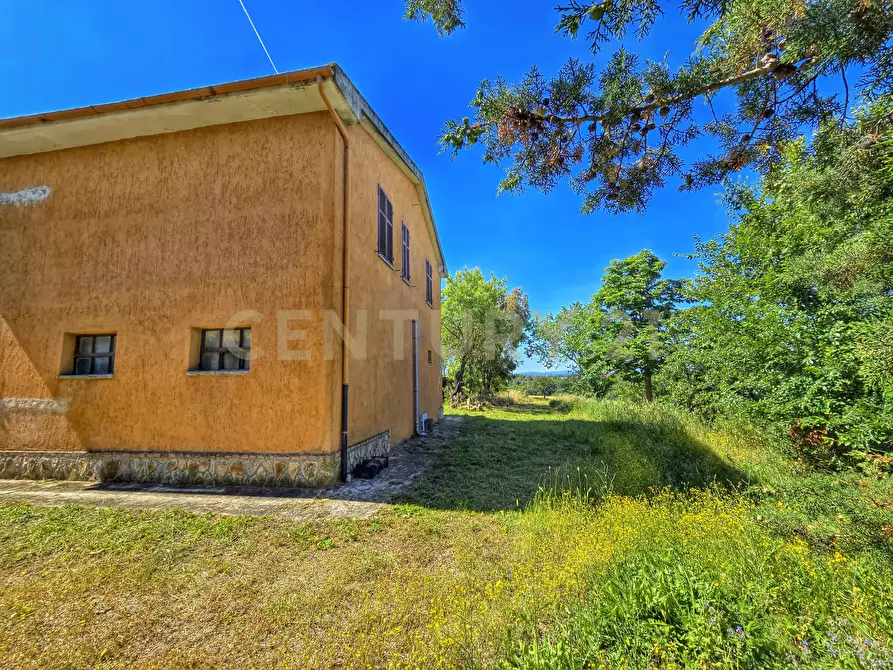 Immagine 27 di Rustico / casale in vendita  in Strada Provinciale Aquilaia a Scansano