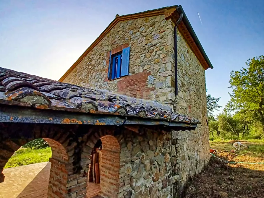 Immagine 10 di Rustico / casale in vendita  in località podere la vena 20 a Civitella Paganico