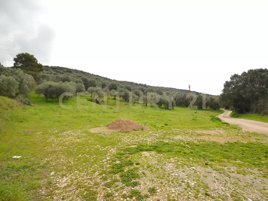 Immagine 4 di Porzione di casa in vendita  in Via Aurelia Sud 106 a Grosseto