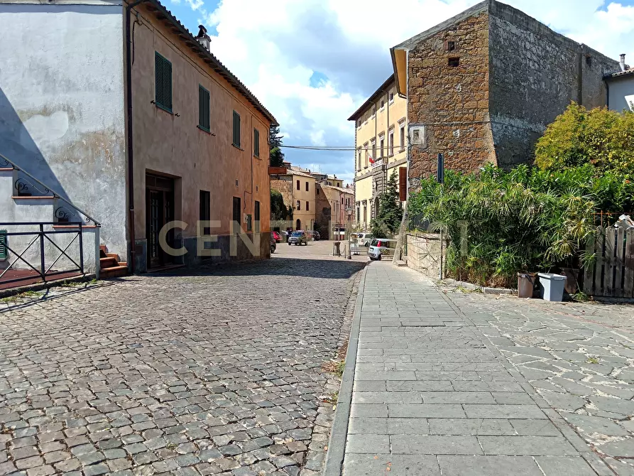 Immagine 22 di Trilocale in vendita  in Corso Regina Margherita a Proceno
