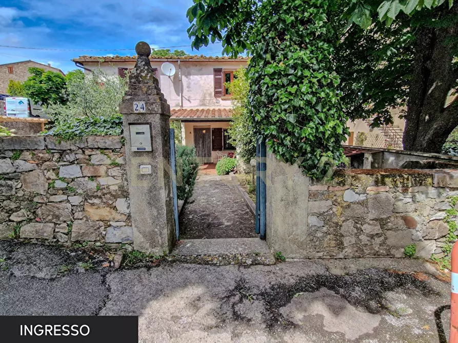 Immagine 6 di Appartamento in vendita  a Massa Marittima