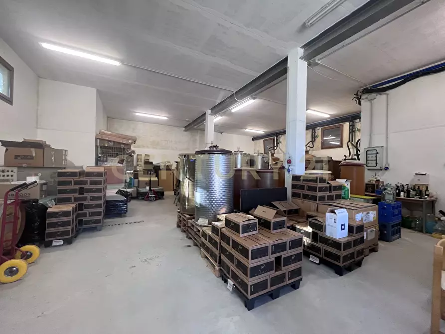 Immagine 21 di Azienda agricola in vendita  in Strada dei Sassi Bianchi a Manciano