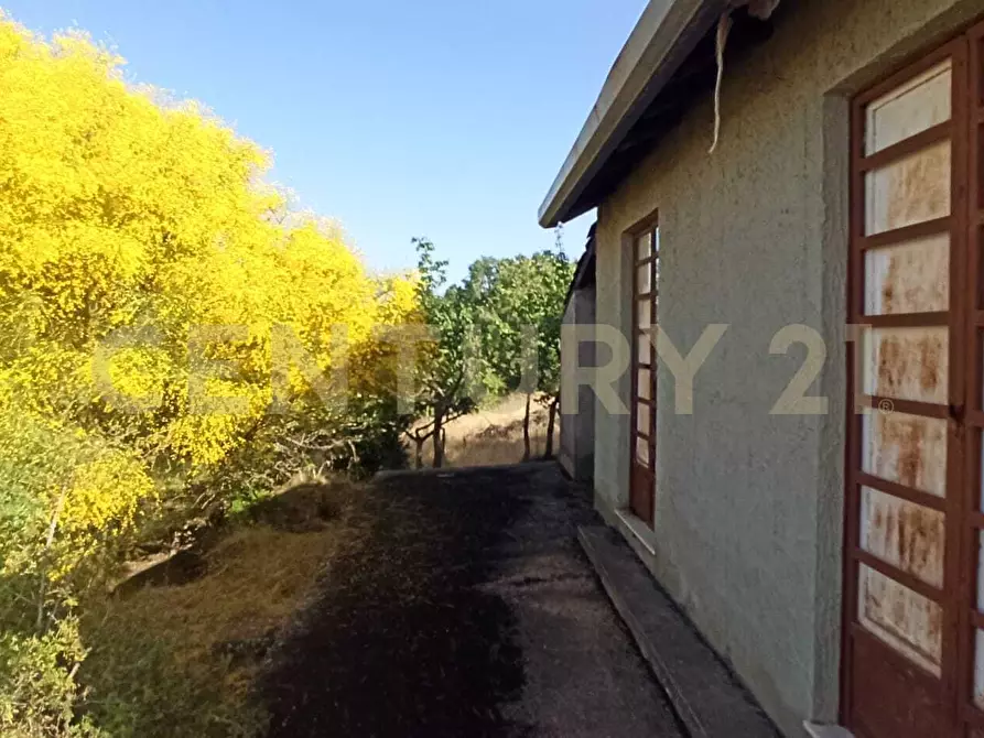 Immagine 35 di Terreno agricolo in vendita  in C.da Filiciusa a Biancavilla