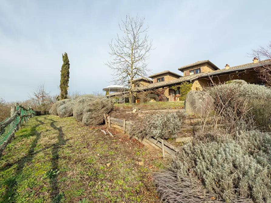 Immagine 40 di Villa in vendita  in Località Campo Rotondo snc a Capranica