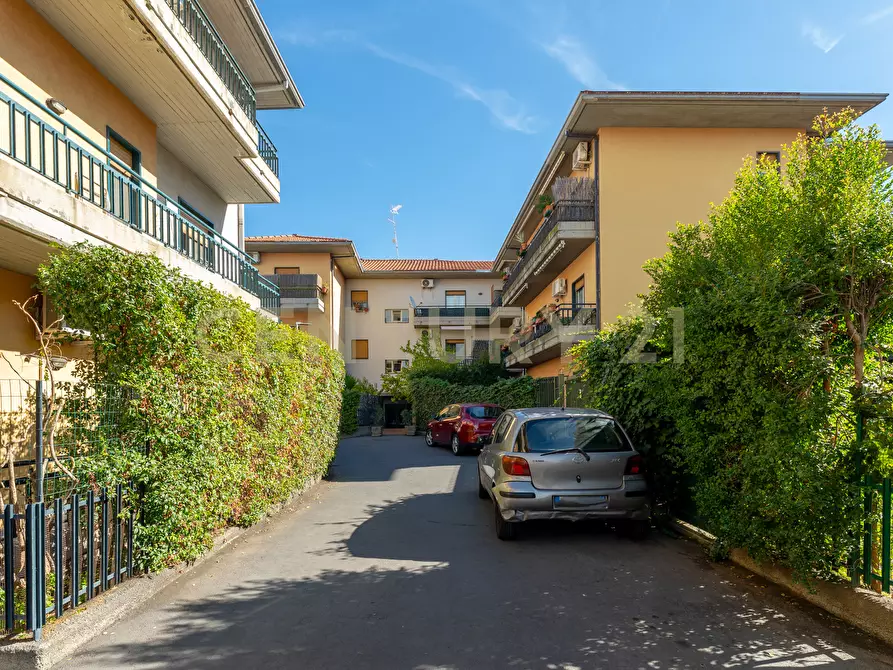 Immagine 6 di Quadrilocale in vendita  in Via Campo Sportivo 14B a Mascalucia