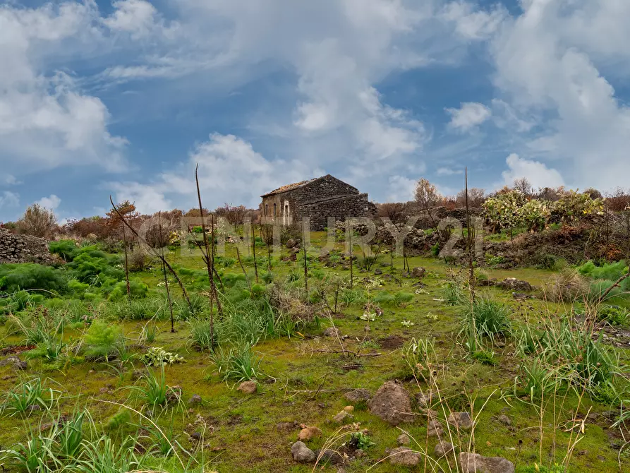 Immagine 23 di Terreno agricolo in vendita  in Via Santa Maria di Licodia a Belpasso