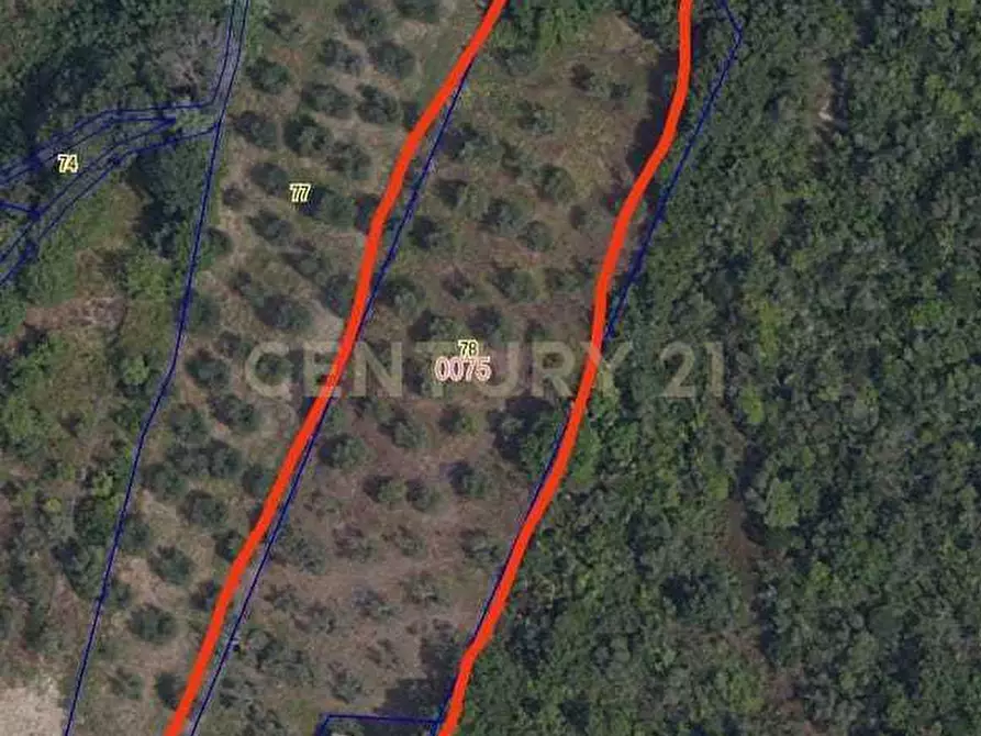 Immagine 6 di Rustico / casale in vendita  in Località Le Fonti a Civitella Paganico