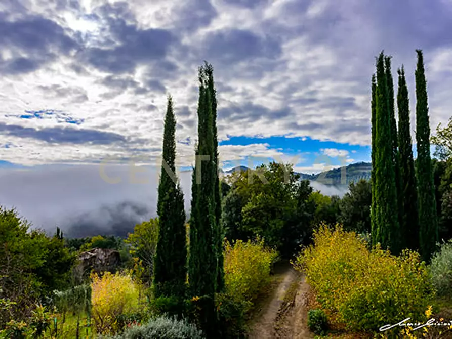 Immagine 9 di Rustico / casale in vendita  in Via di Bagnolo 1 a Civitella Paganico