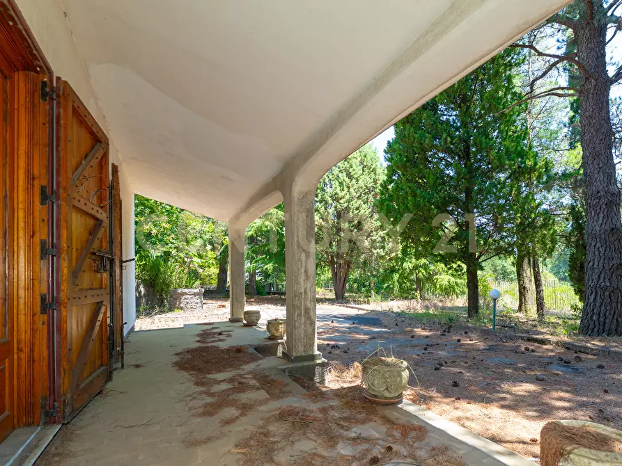 Immagine 12 di Villa in affitto  in Strada Regionale Mareneve SNC a Linguaglossa