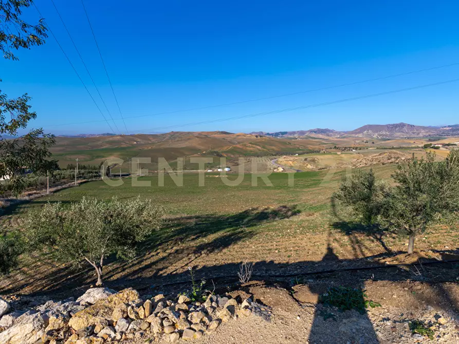 Immagine 9 di Terreno agricolo in vendita  in Strada Provinciale 23b a Centuripe