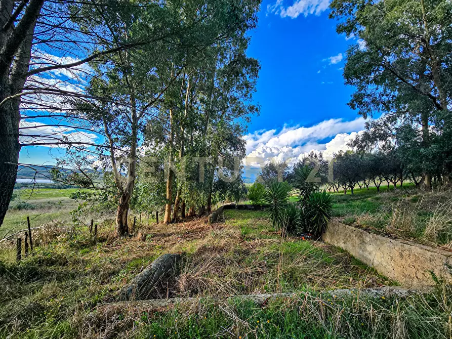 Immagine 25 di Rustico / casale in vendita  in Strada Provinciale Lupo a Gavorrano