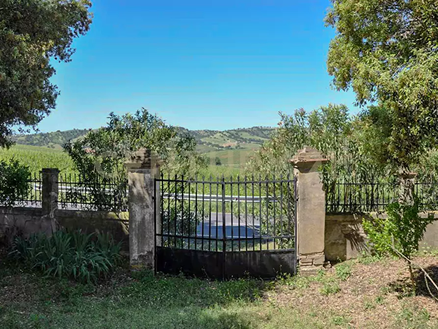 Immagine 28 di Rustico / casale in vendita  in Località Preselle sp 159 a Scansano