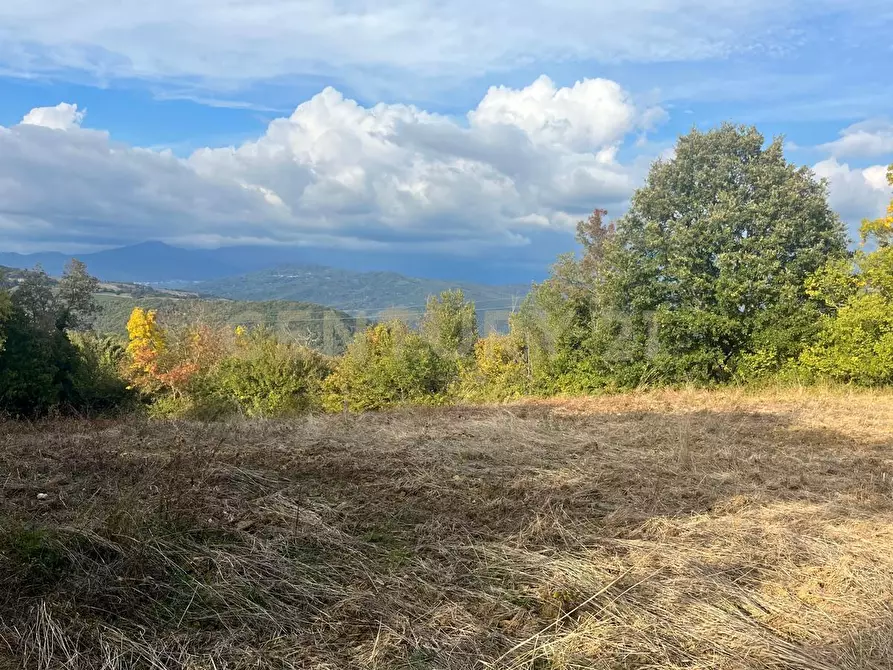 Immagine 23 di Rustico / casale in vendita  in località casa iaconi a Semproniano