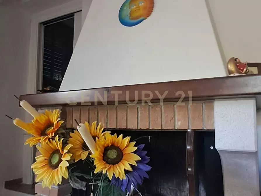 Immagine 10 di Villa in vendita  in Via Ponte Ilario a Orbetello