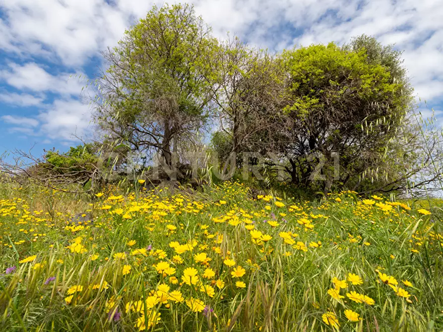 Immagine 17 di Terreno industriale in vendita  in Via dei Belfiore 4 a Valverde