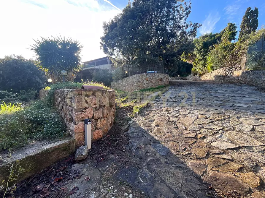Immagine 5 di Villa in vendita  in Via delle Ginestre 80 a Orbetello