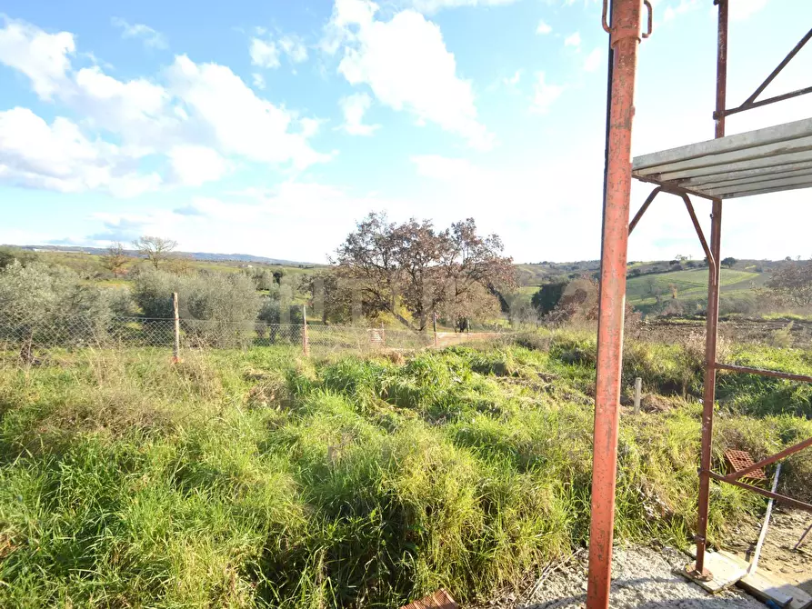Immagine 23 di Casa bifamiliare in vendita  a Magliano In Toscana