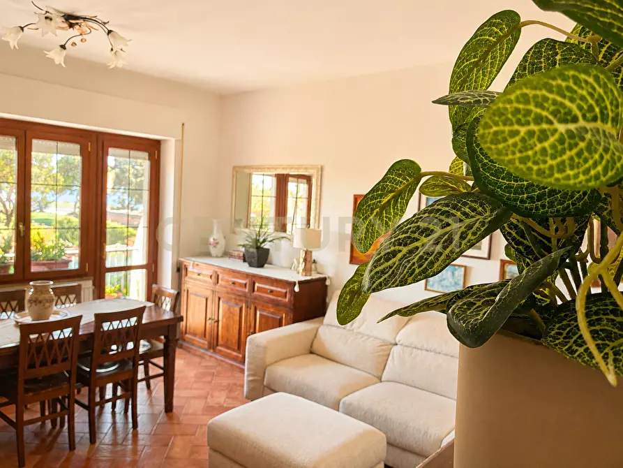 Immagine 1 di Trilocale in vendita  in Viale Caravaggio 19 a Orbetello
