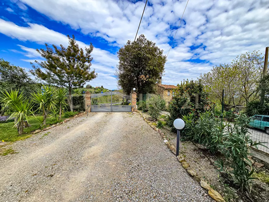 Immagine 5 di Rustico / casale in vendita  in podere poderina 5 a Civitella Paganico