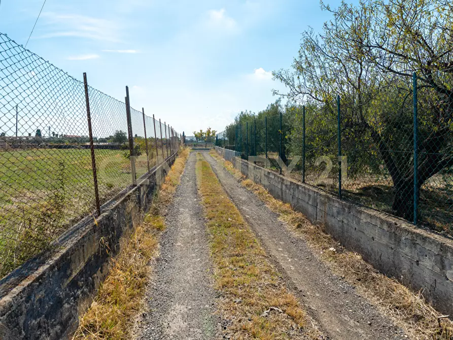 Immagine 4 di Terreno agricolo in vendita  in Via Margarone 5 a Motta Sant'anastasia