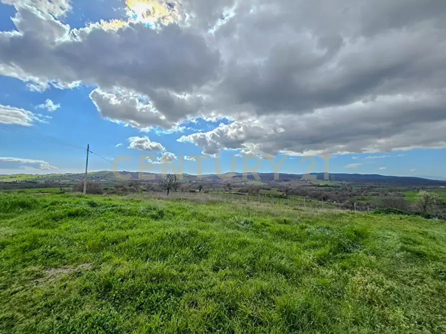 Immagine 13 di Rustico / casale in vendita  in località mandorlaie a Scansano