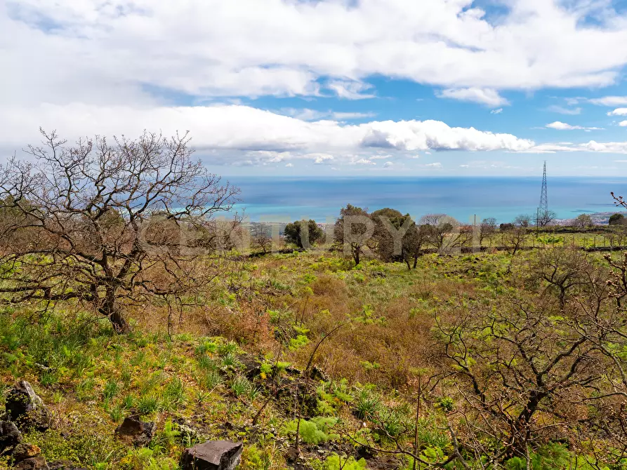 Immagine 38 di Villa in vendita  in Via Nocille 55 a Mascali