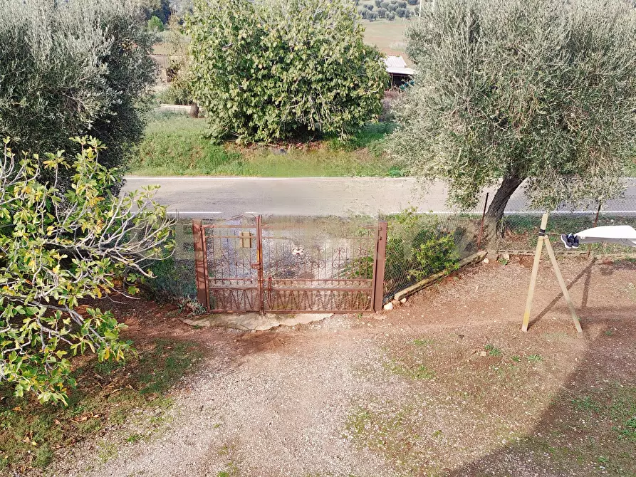 Immagine 20 di Rustico / casale in vendita  in Strada Pedemontana a Capalbio