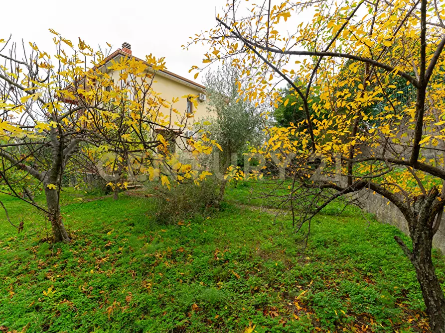 Immagine 4 di Villa in vendita  in via de pretis 4 a Mascalucia