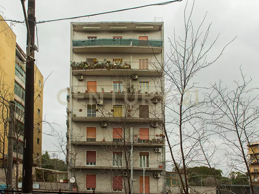 Immagine 4 di Quadrilocale in vendita  in Viale Pietro Querini 5 a Catania