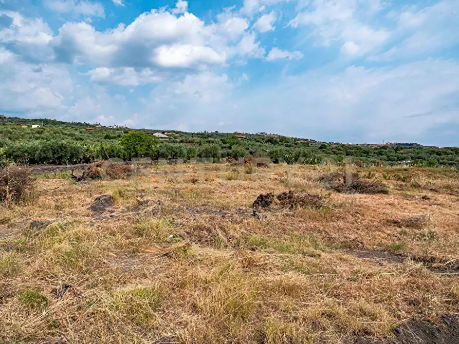 Immagine 38 di Terreno agricolo in vendita  in Via San Leo a Adrano