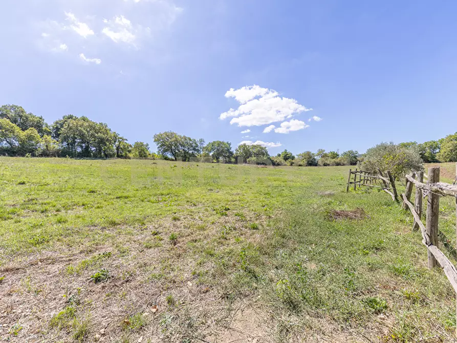 Immagine 40 di Rustico / casale in vendita  in località san quirichello a Barbarano Romano