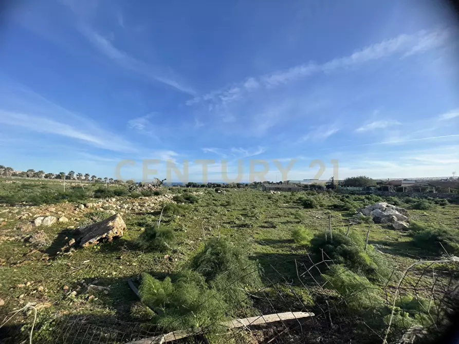Immagine 3 di Terreno agricolo in vendita  in CONTRADA CORRIDORE CAMPANA SNC a Portopalo Di Capo Passero