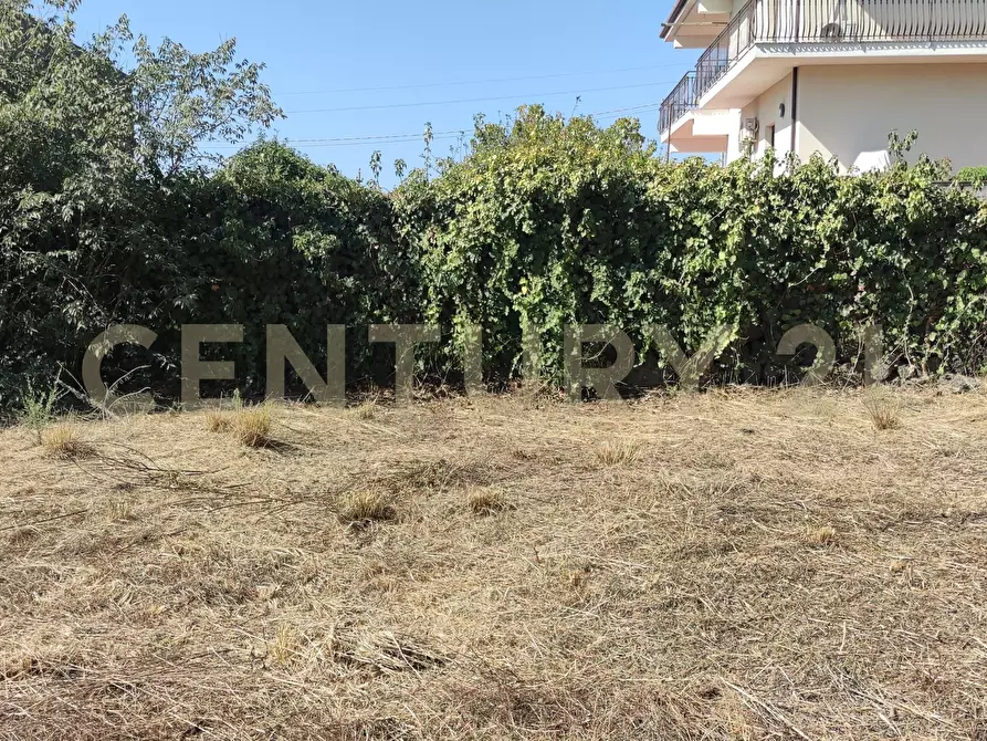 Immagine 6 di Terreno agricolo in vendita  in CONTRADA RACCOMANDATA a Misterbianco