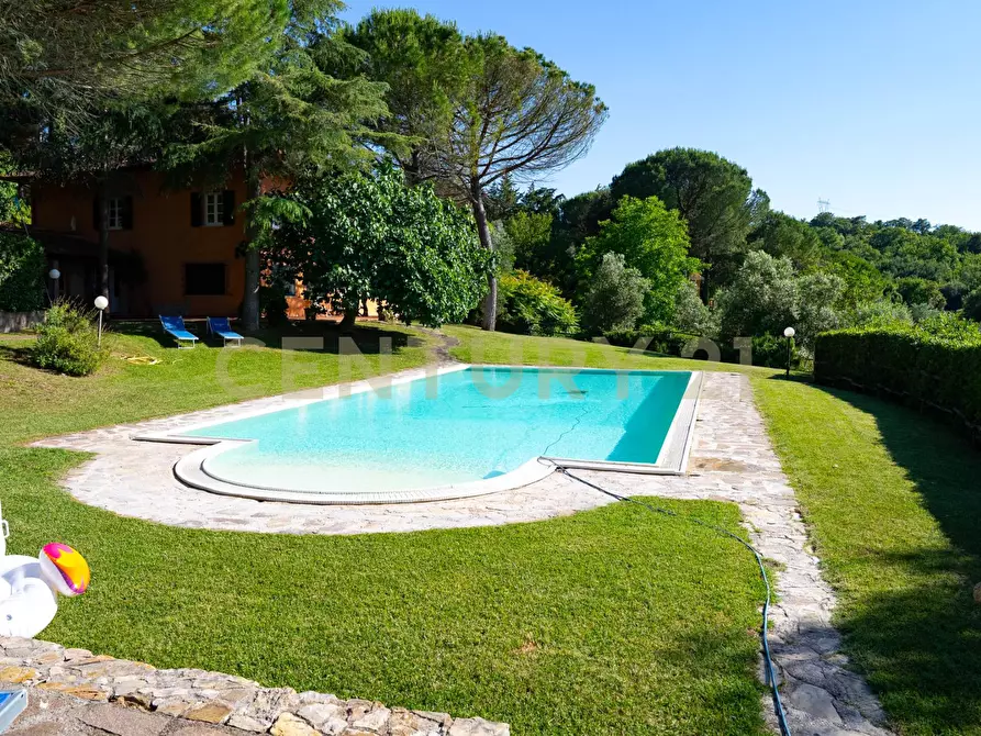 Immagine 90 di Rustico / casale in vendita  a Cinigiano