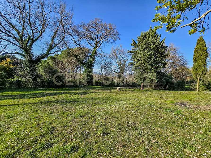 Immagine 4 di Villa in vendita  in Località Poggio Murella 68 a Manciano