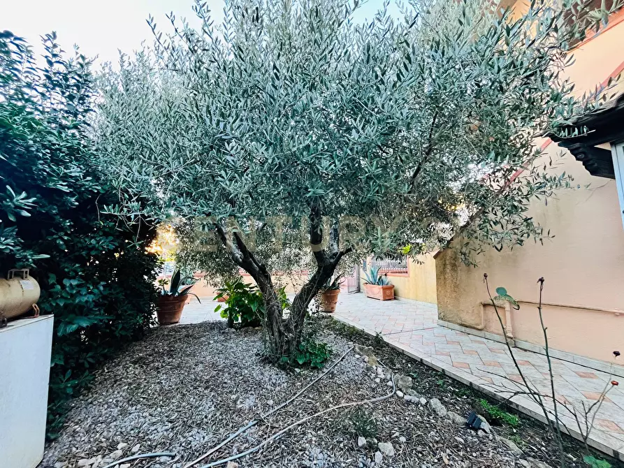 Immagine 30 di Casa semindipendente in vendita  a Grosseto