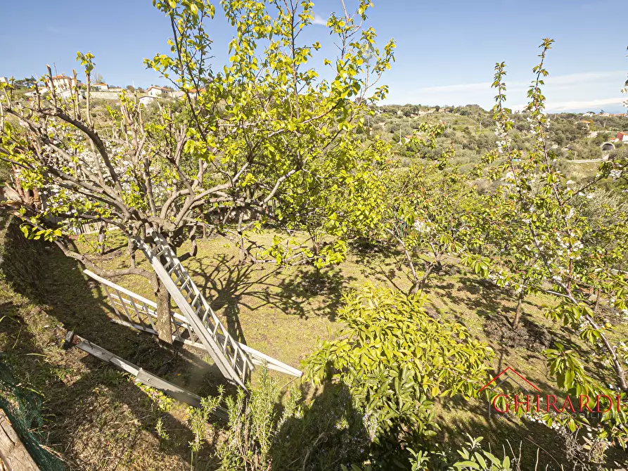 Immagine 73 di Villa in vendita  in VIA PECORILE a Celle Ligure