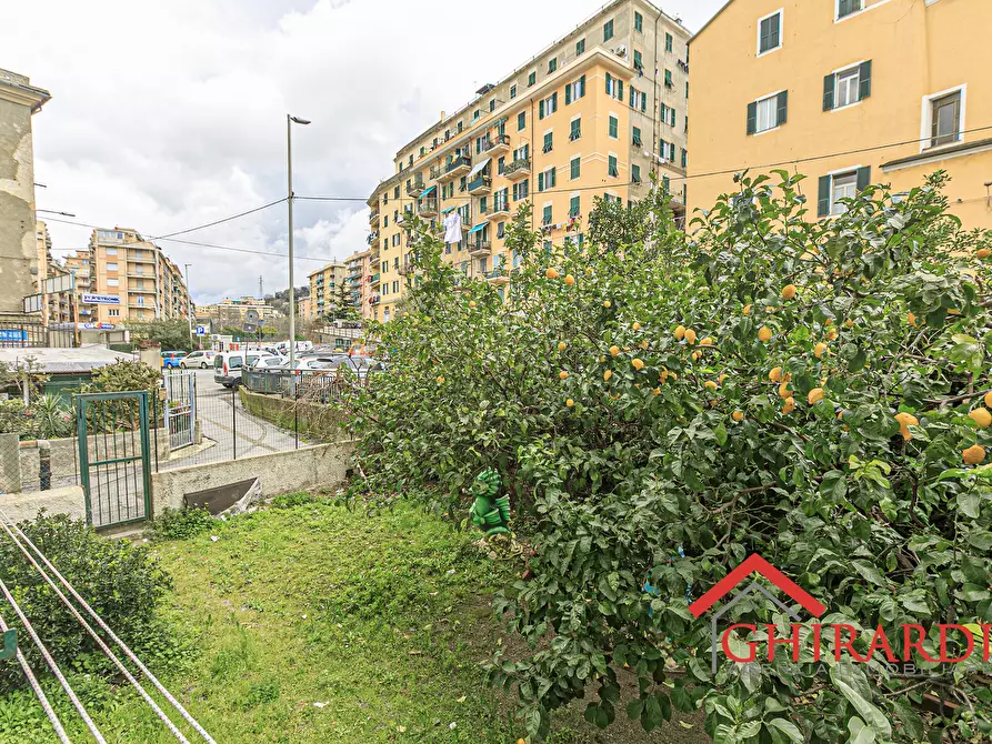 Immagine 33 di Trilocale in affitto  in VIA CHIARAVAGNA 9 a Genova