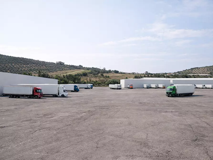 Immagine 8 di Attività artigianale in vendita  a Boretto