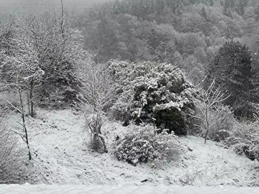 Immagine 29 di Albergo/B&B/Residence in vendita  in VIA NAZIONALE 2 a Sella Giudicarie