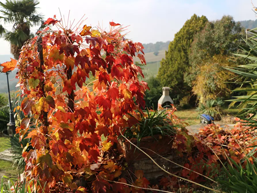 Immagine 18 di Villa in vendita  in VIA chiaravallese a Osimo