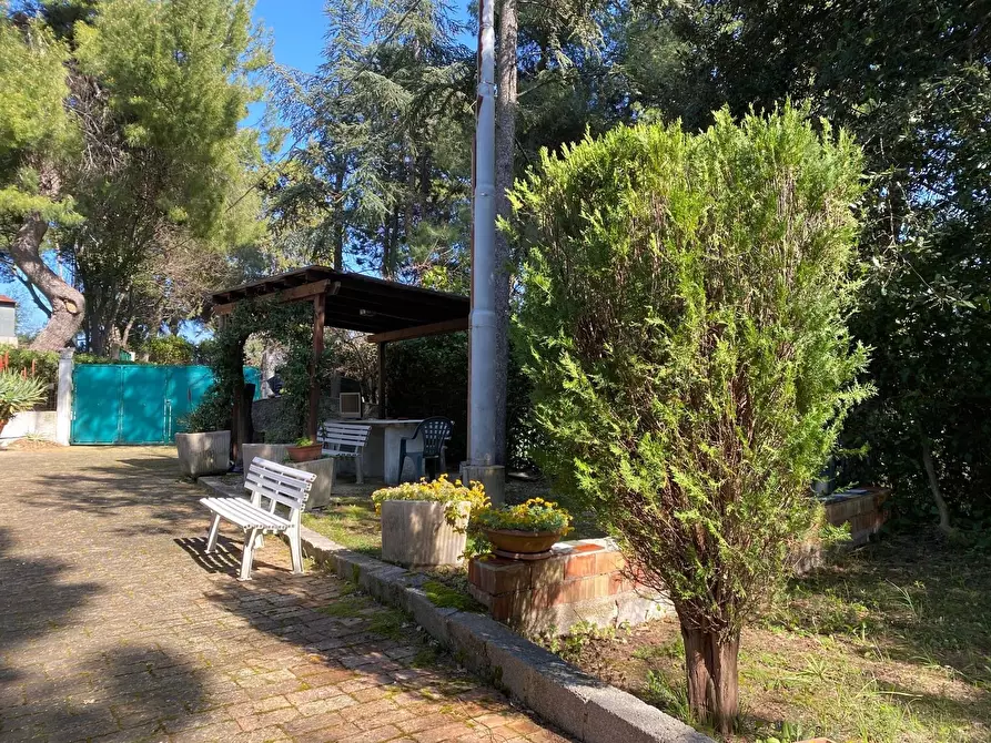 Immagine 30 di Rustico / casale in vendita  in Massignano a Ancona