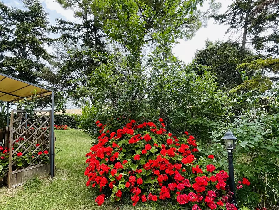 Immagine 13 di Villa in vendita  in VIA CHIARAVALLESE a Osimo